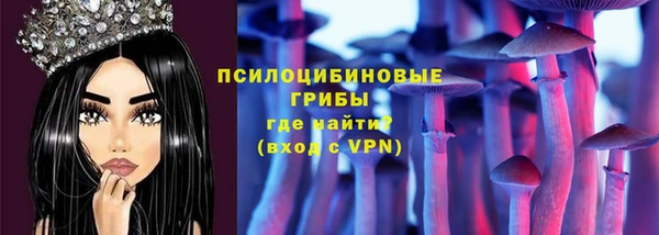 mdpv Пестово