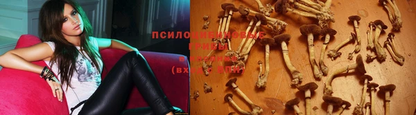 стаф Переславль-Залесский