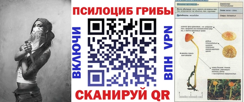 закладка  Тырныауз  Галлюциногенные грибы мухоморы 