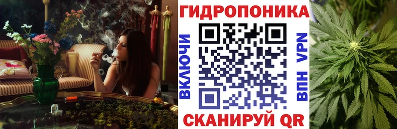 МАРИХУАНА White Widow  как найти наркотики  МЕГА tor  Тырныауз 